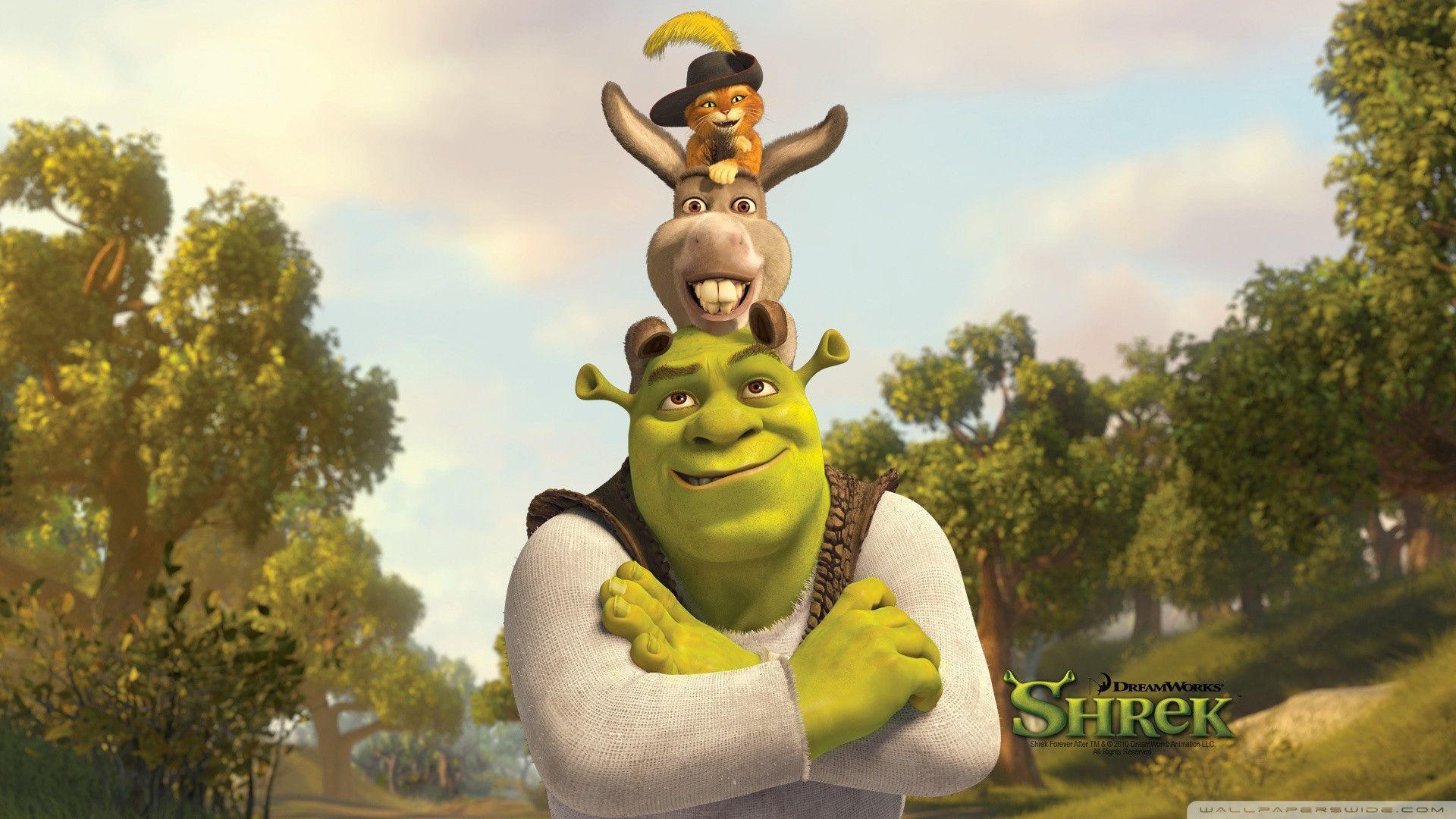 30+ Shrek HD Wallpapers and Backgrounds