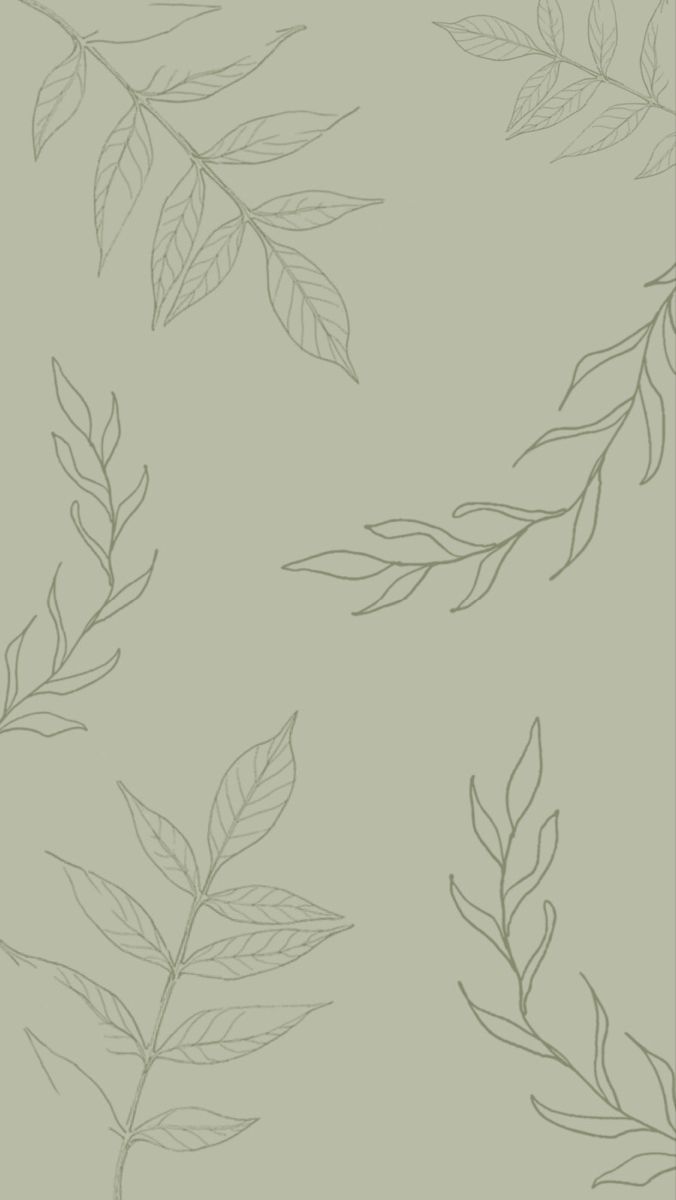 Sage Green Aesthetic Wallpapers  Wallpaper Cave