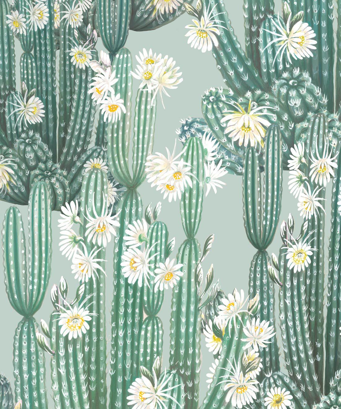 Cactus Wallpaper Posters for Sale  Redbubble