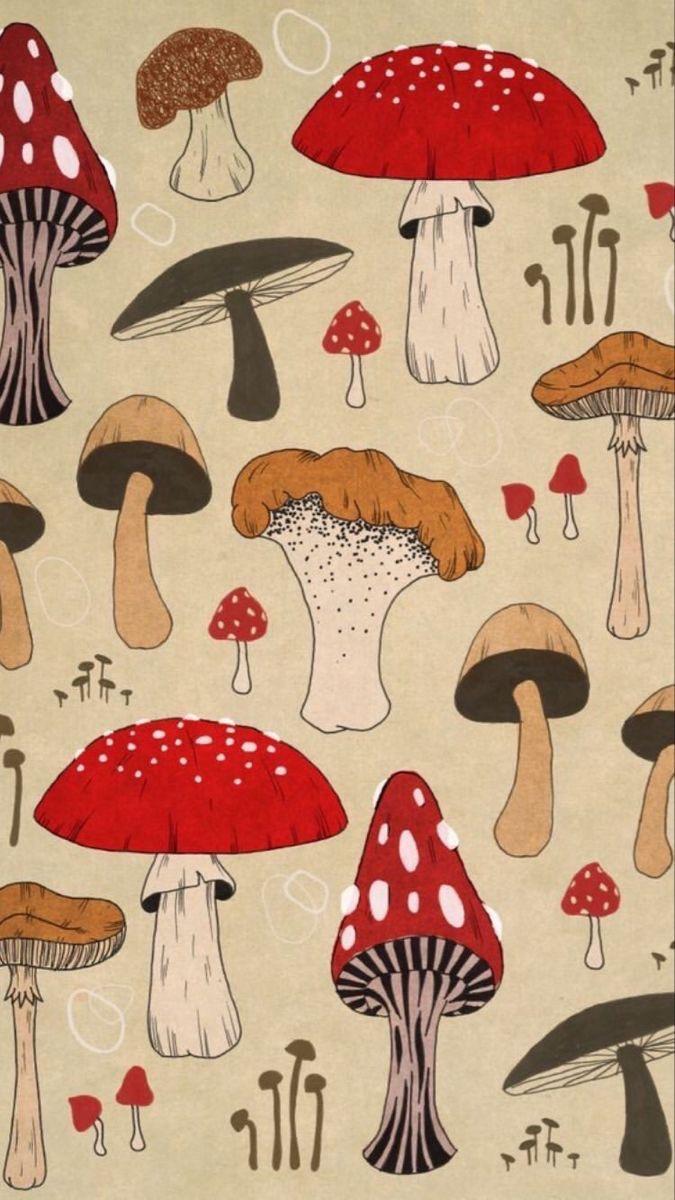 Mushrooms Wallpapers  Wallpaper Cave