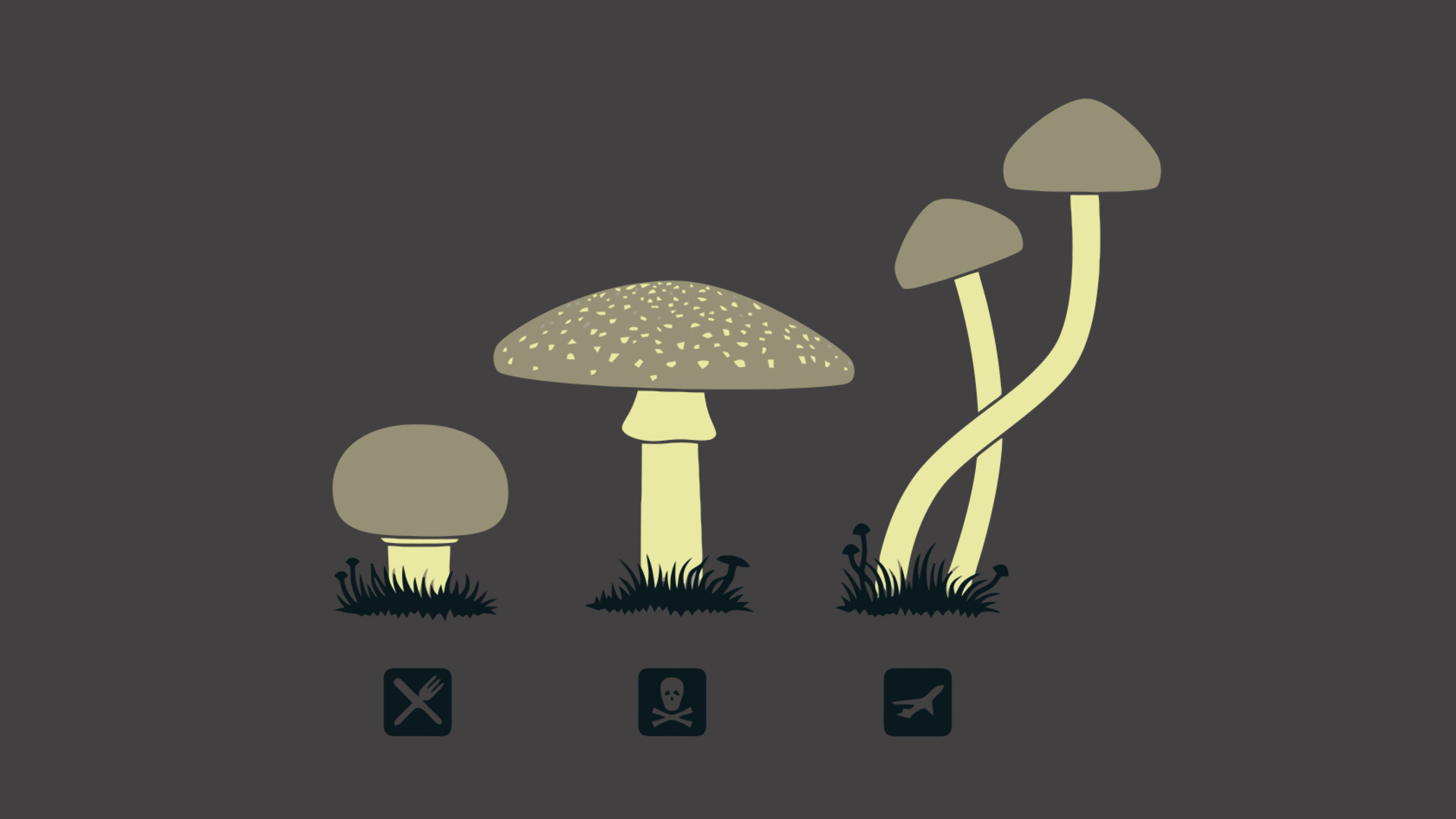 Mushroom Wallpapers on WallpaperDog