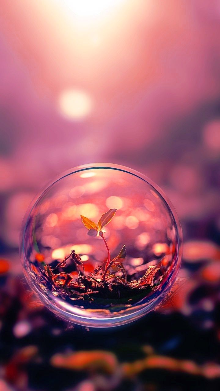 Whatsapp Wallpapers On WallpaperDog Whatsapp Wallpapers On WallpaperDog