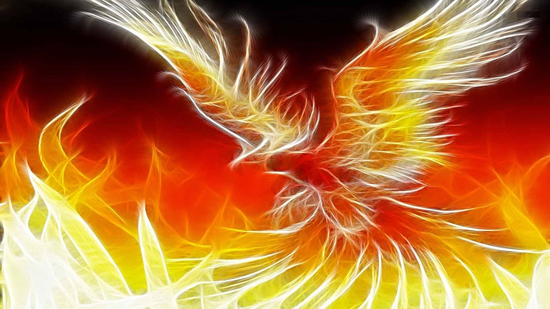 Beautiful phoenix illustration hires stock photography and images  Alamy