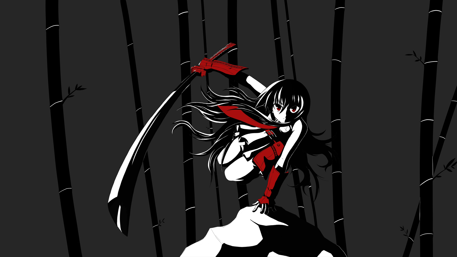 41 Akame Ga Kill Wallpapers for iPhone and Android by James Thomas MD