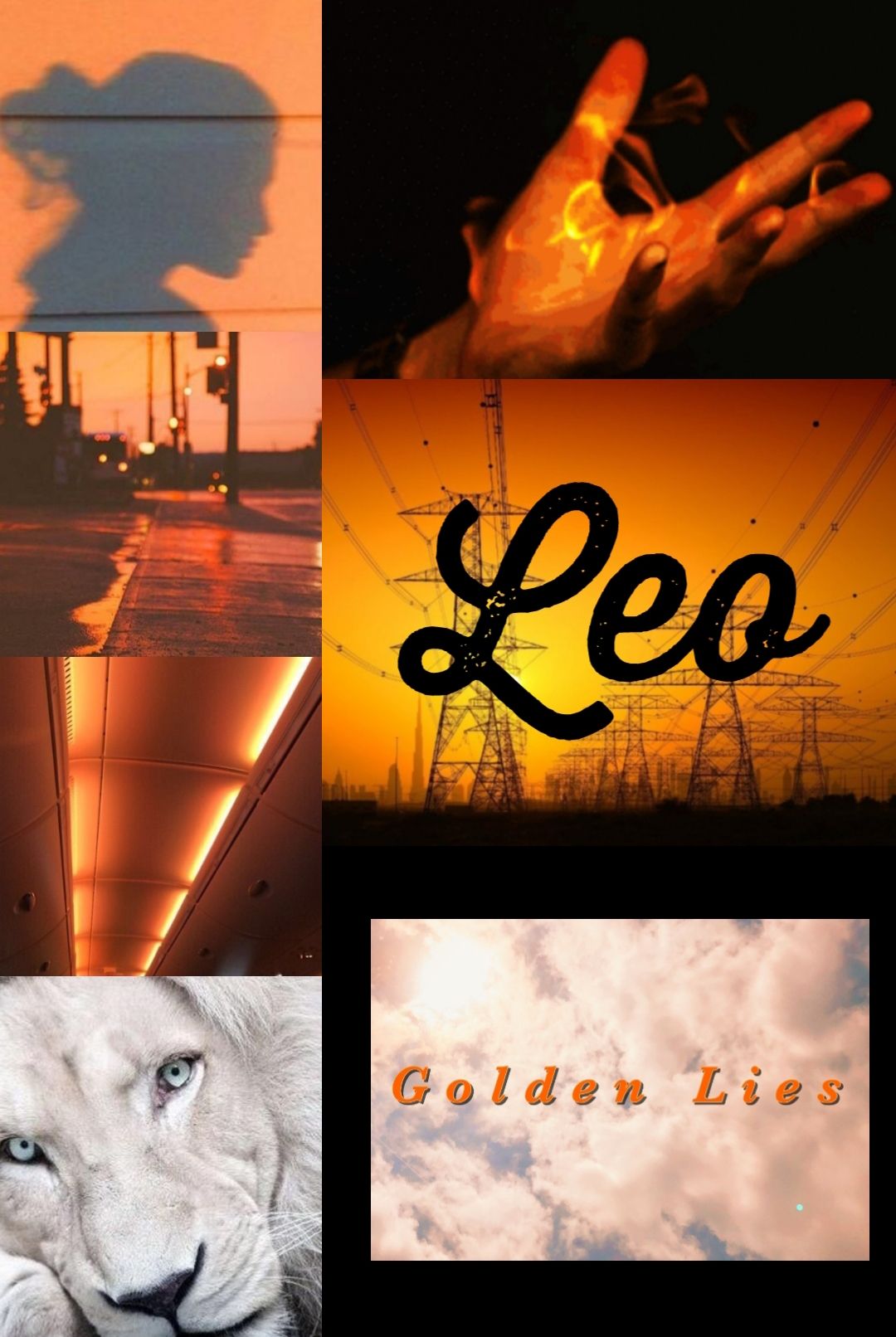Zodiac Leo lion signs instagram cozy HD phone wallpaper  Peakpx