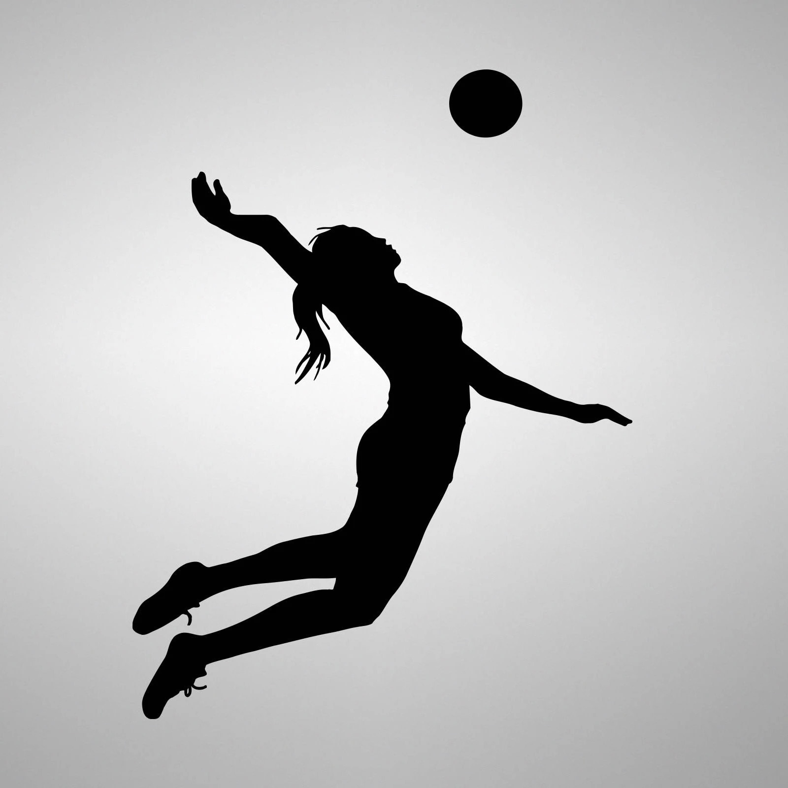 volleyball backgrounds aestheticTikTok Search