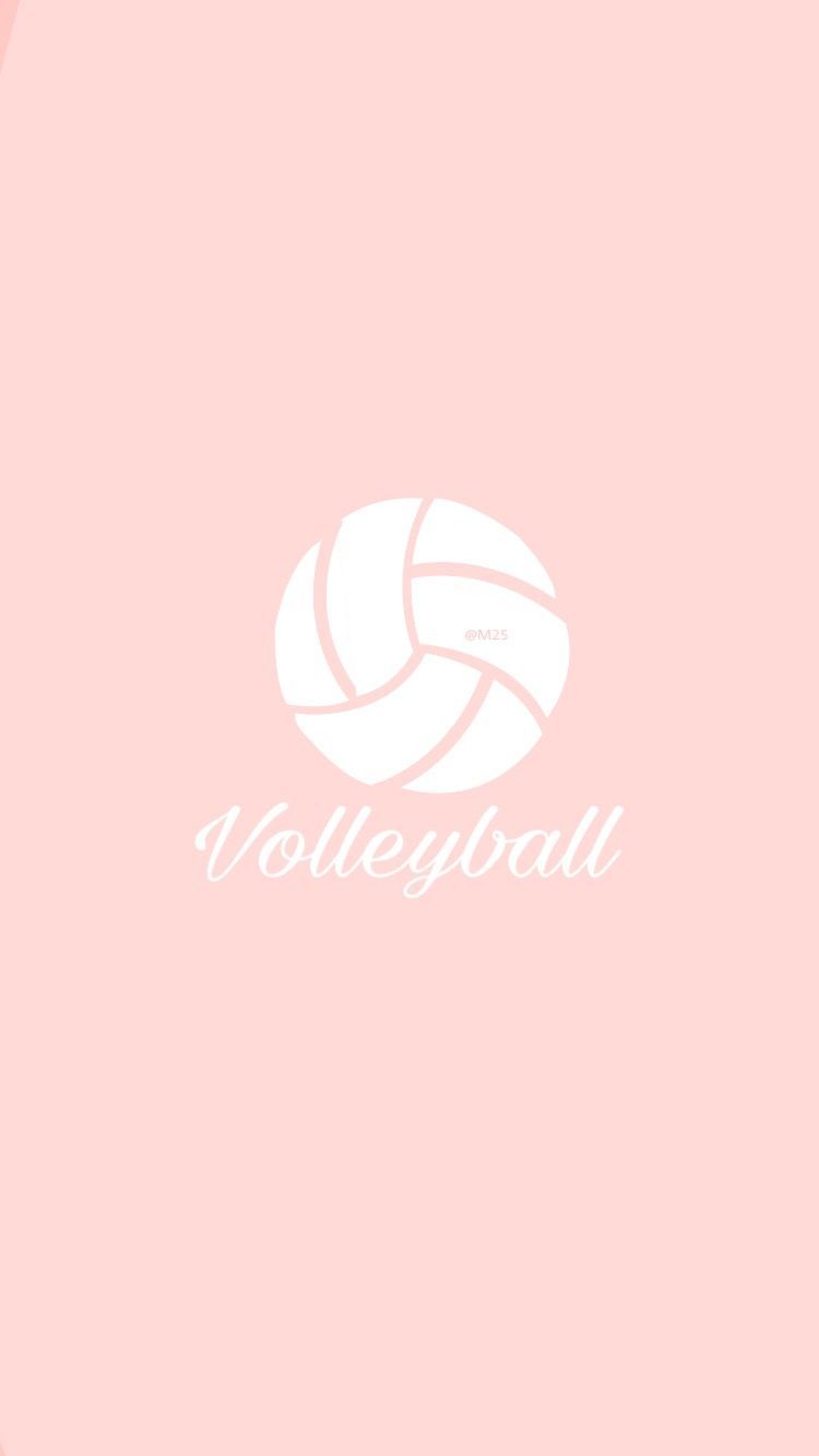 Gray Volleyball Fabric Wallpaper and Home Decor  Spoonflower