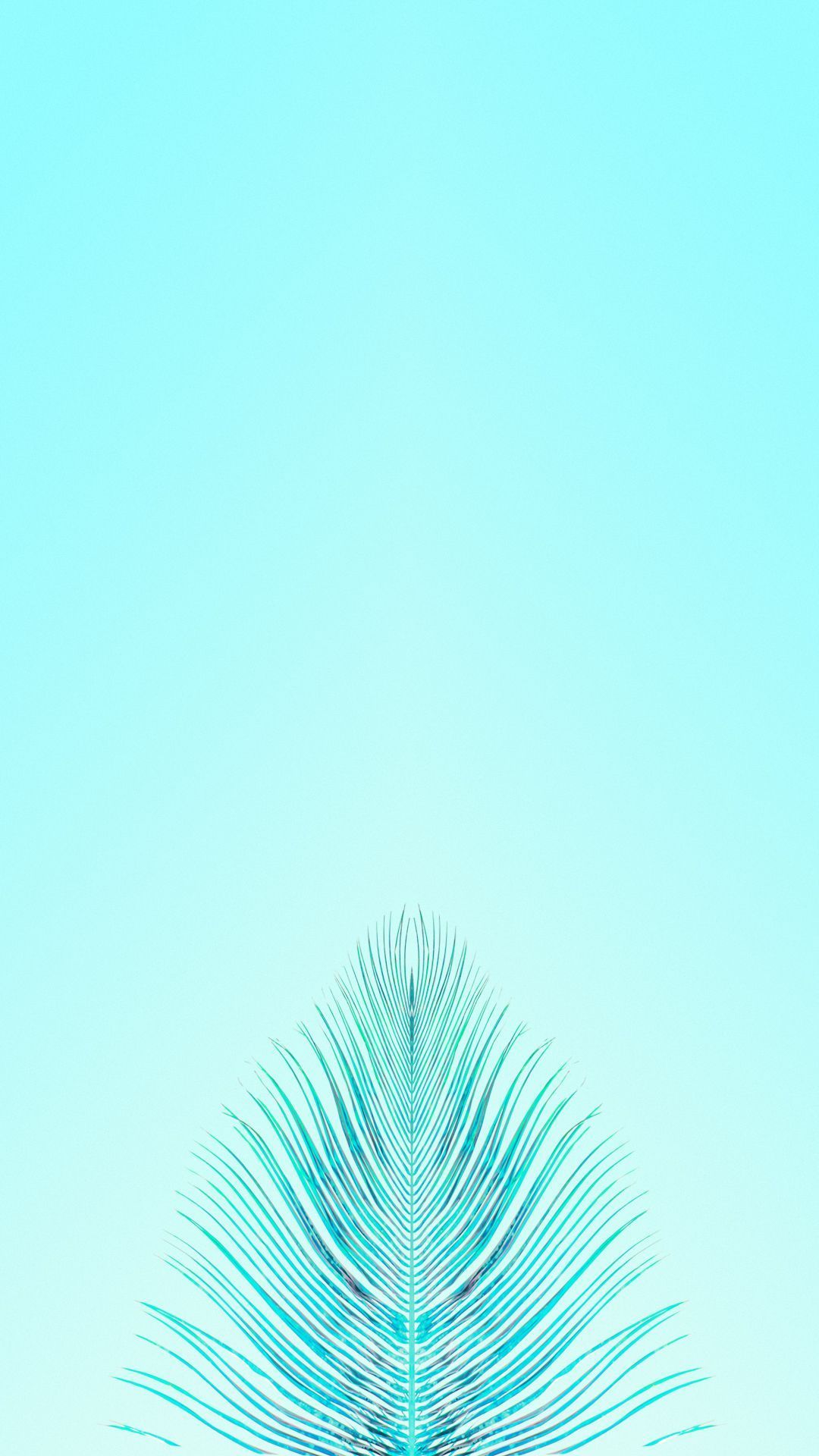 Turquoise Wallpapers On Wallpaperdog