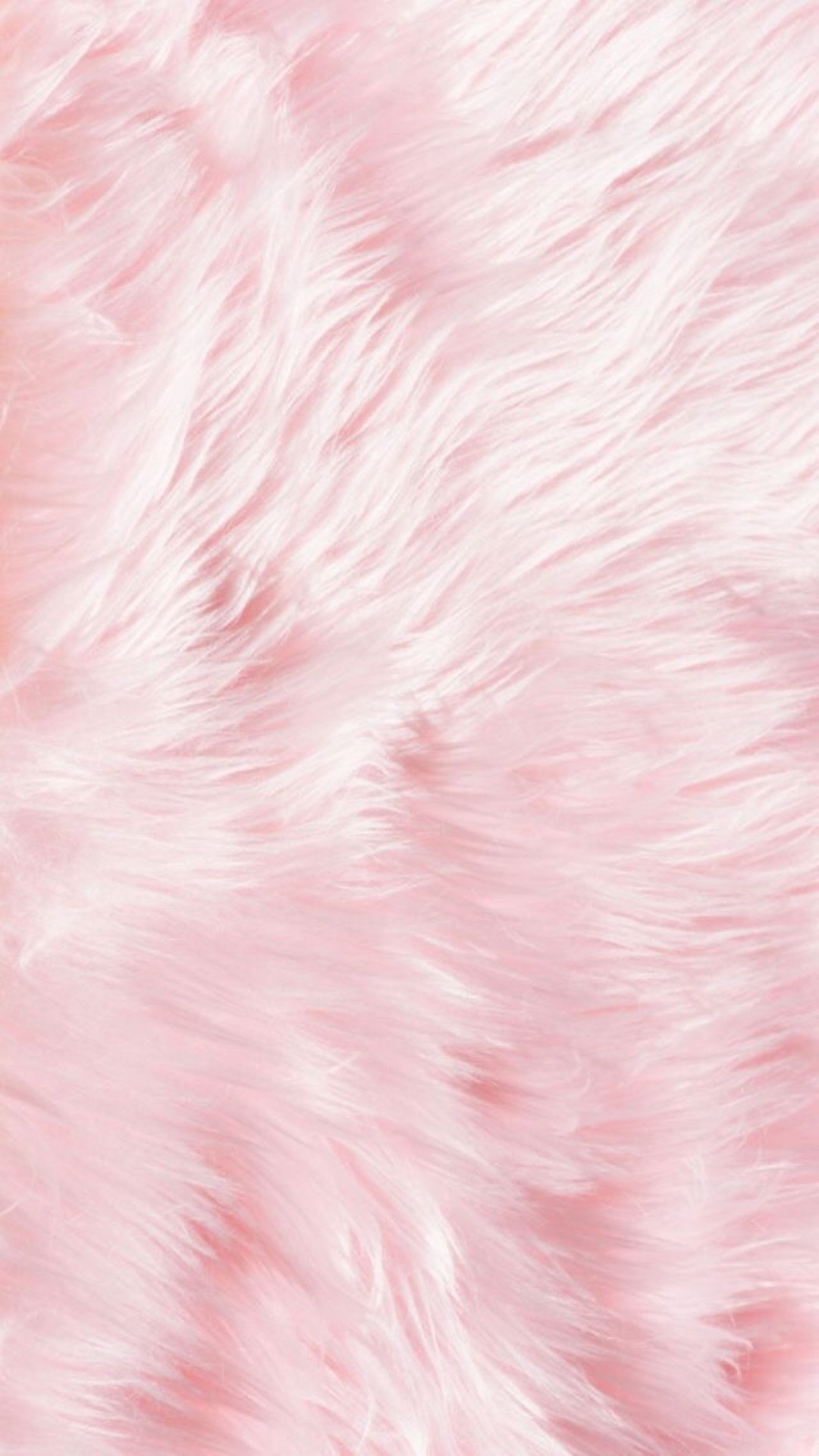 WallpaperDog cung cấp những hình nền màu hồng nhạt tuyệt đẹp, phù hợp để trang trí cho màn hình điện thoại hay máy tính của bạn. Hãy truy cập ngay trang web này và tận hưởng những hình ảnh tuyệt đẹp với màu hồng nhạt dịu dàng và thanh lịch.