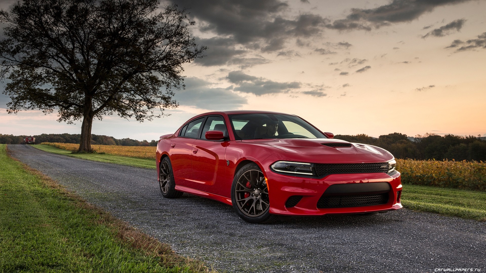 Hellcat Wallpapers On WallpaperDog Hellcat Wallpapers On WallpaperDog