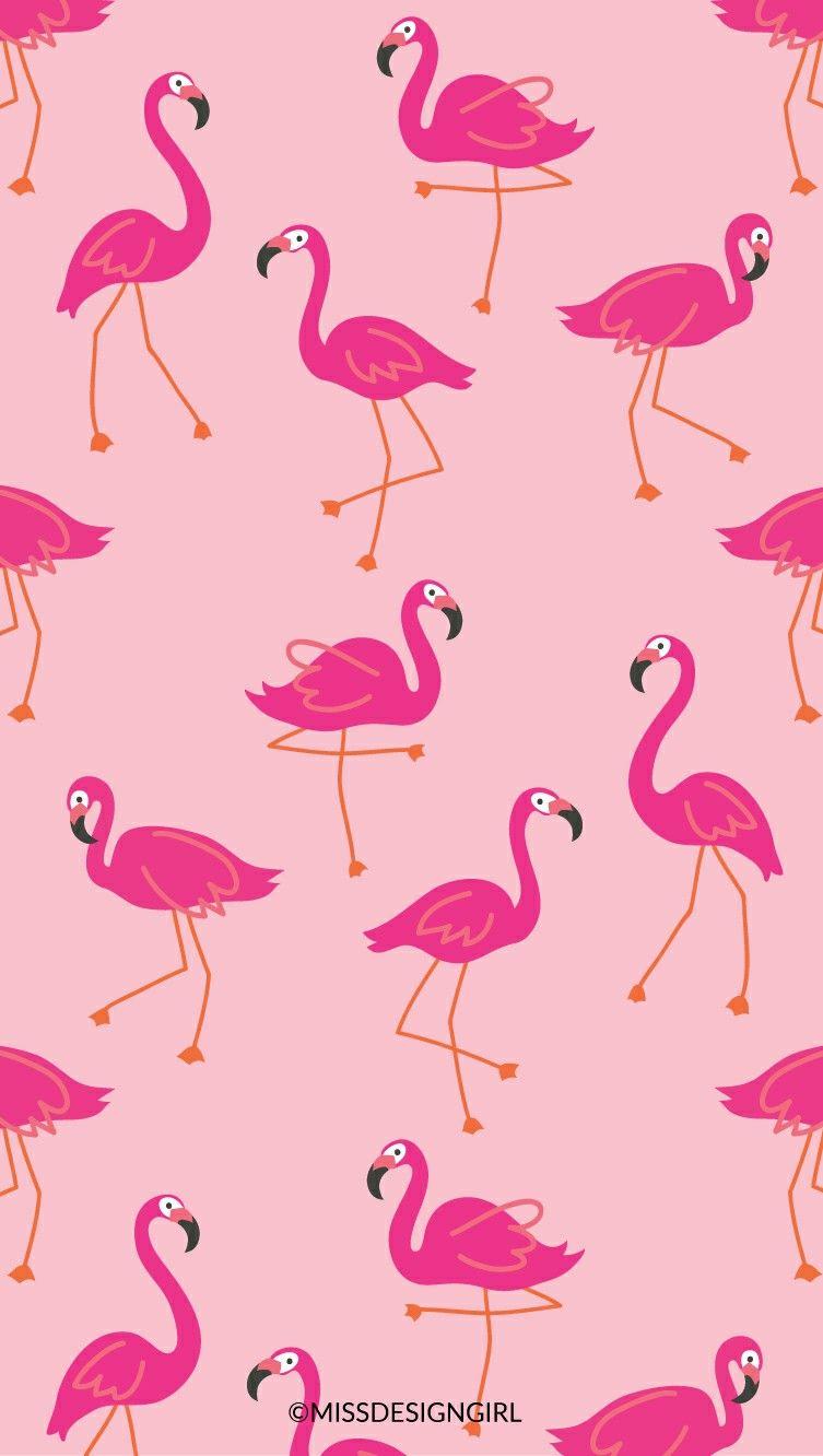 Flamingo Wallpapers on WallpaperDog