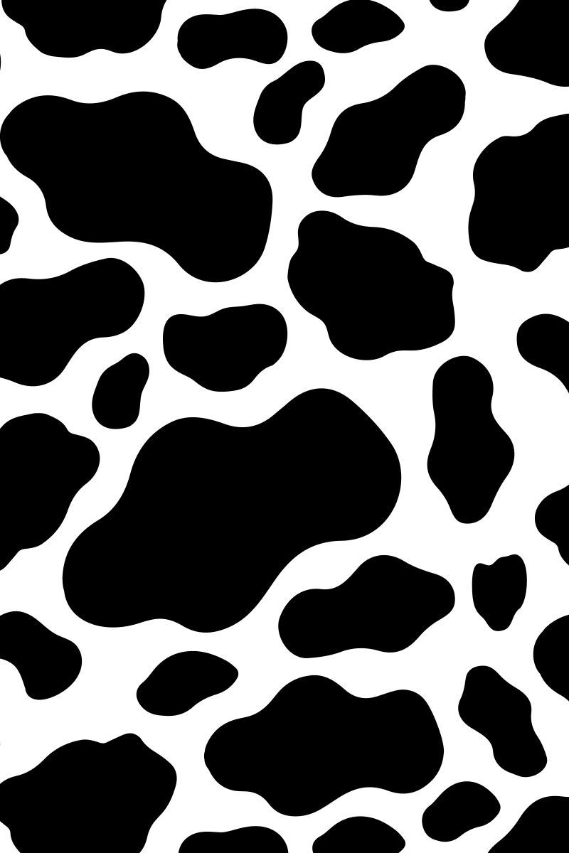 Cow Print Wallpapers on WallpaperDog