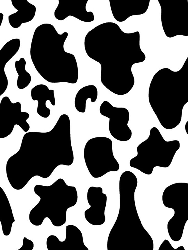 moo wallpaper  Cow print wallpaper Cow wallpaper Animal print wallpaper