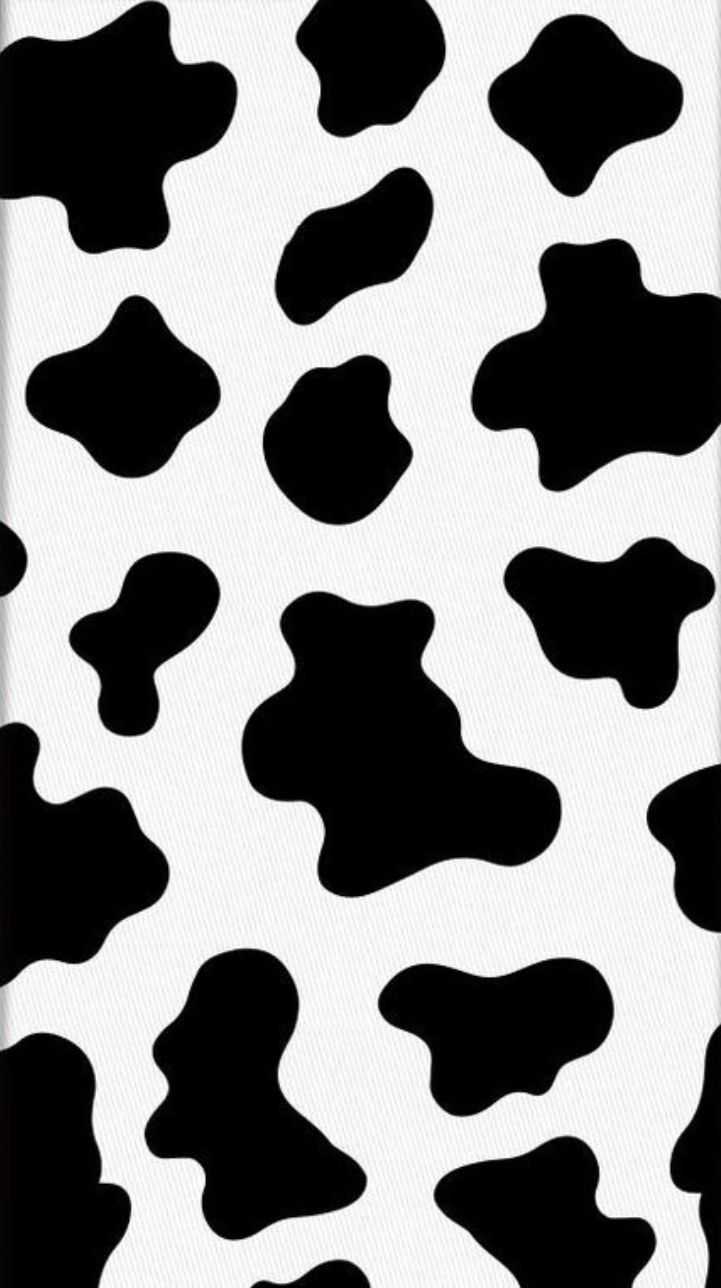 aesthetic cow print wallpaper｜TikTok Search