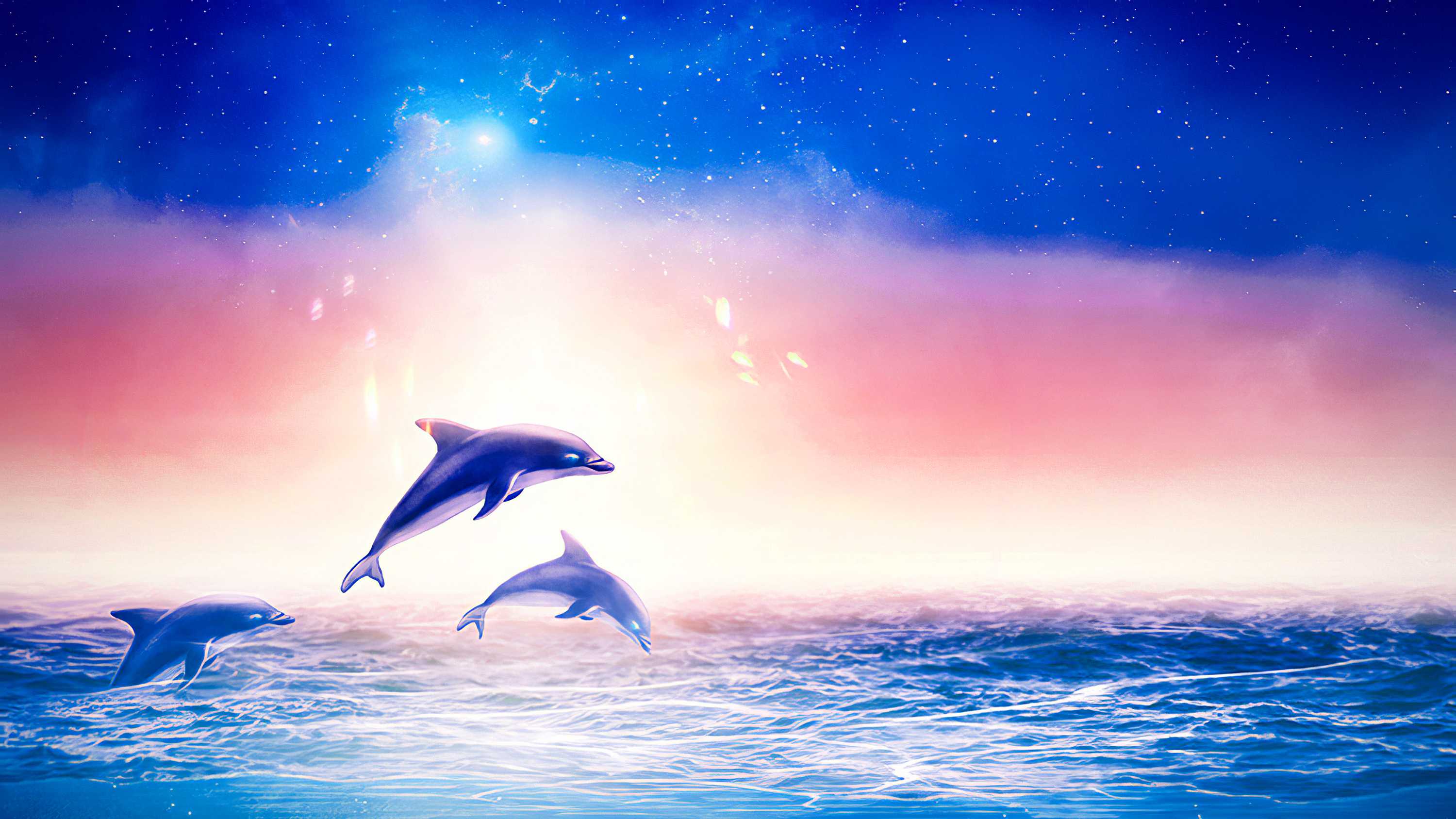 Free download Dolphin Wallpapers HD [1920x1200] for your Desktop, Mobile &  Tablet | Explore 45+ Dolphins Backgrounds | Free Dolphins Wallpaper,  Wallpaper Of Dolphins, Dolphins Wallpaper
