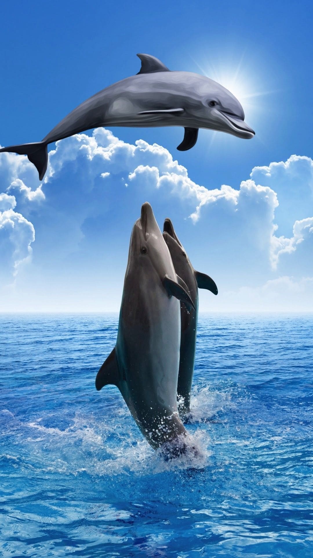 dolphin» 1080P, 2k, 4k HD wallpapers, backgrounds free download | Rare  Gallery » Page 2