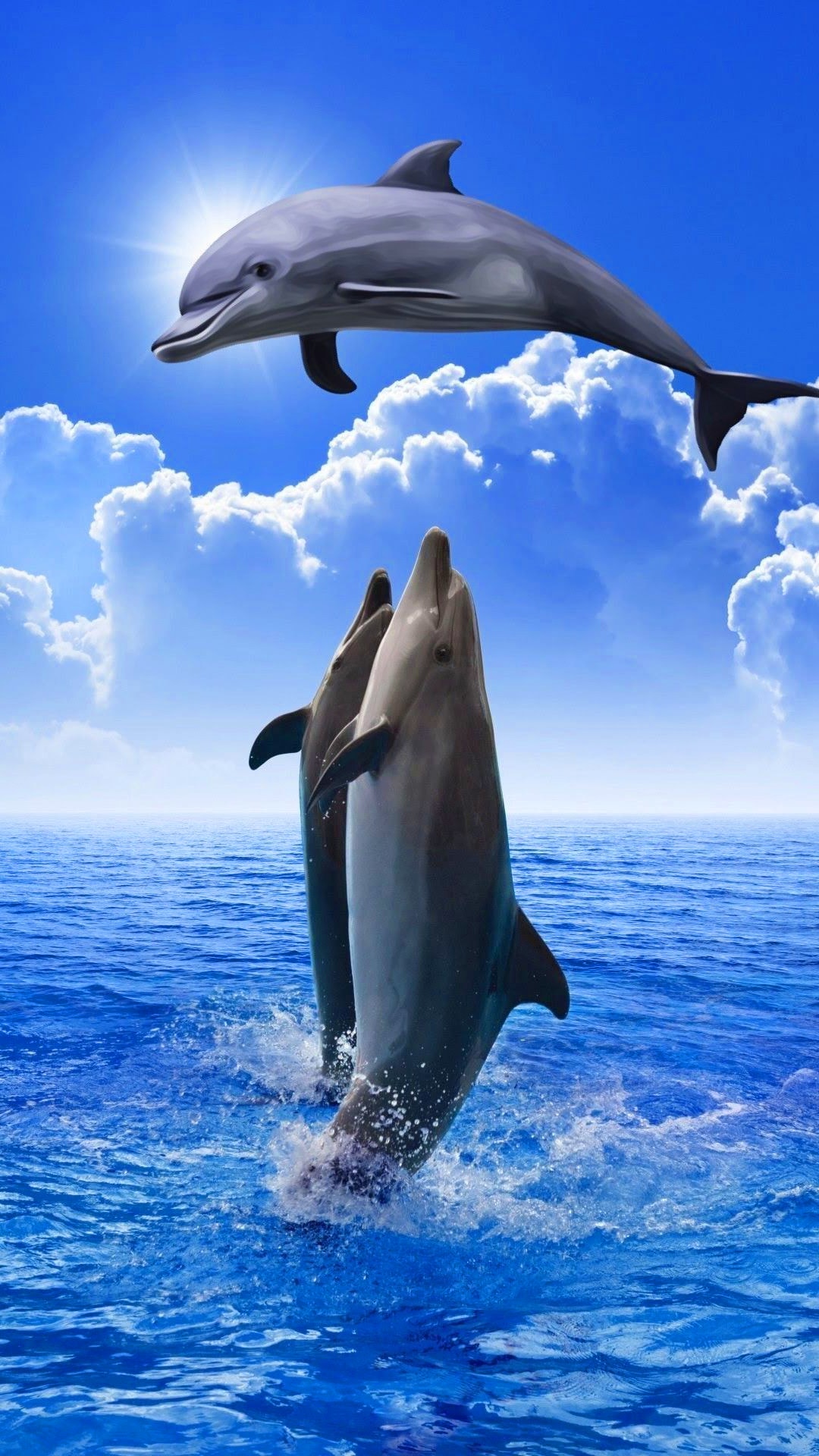 Dolphin Wallpapers APK 40dolphin for Android  Download Dolphin Wallpapers  XAPK APK Bundle Latest Version from APKFabcom