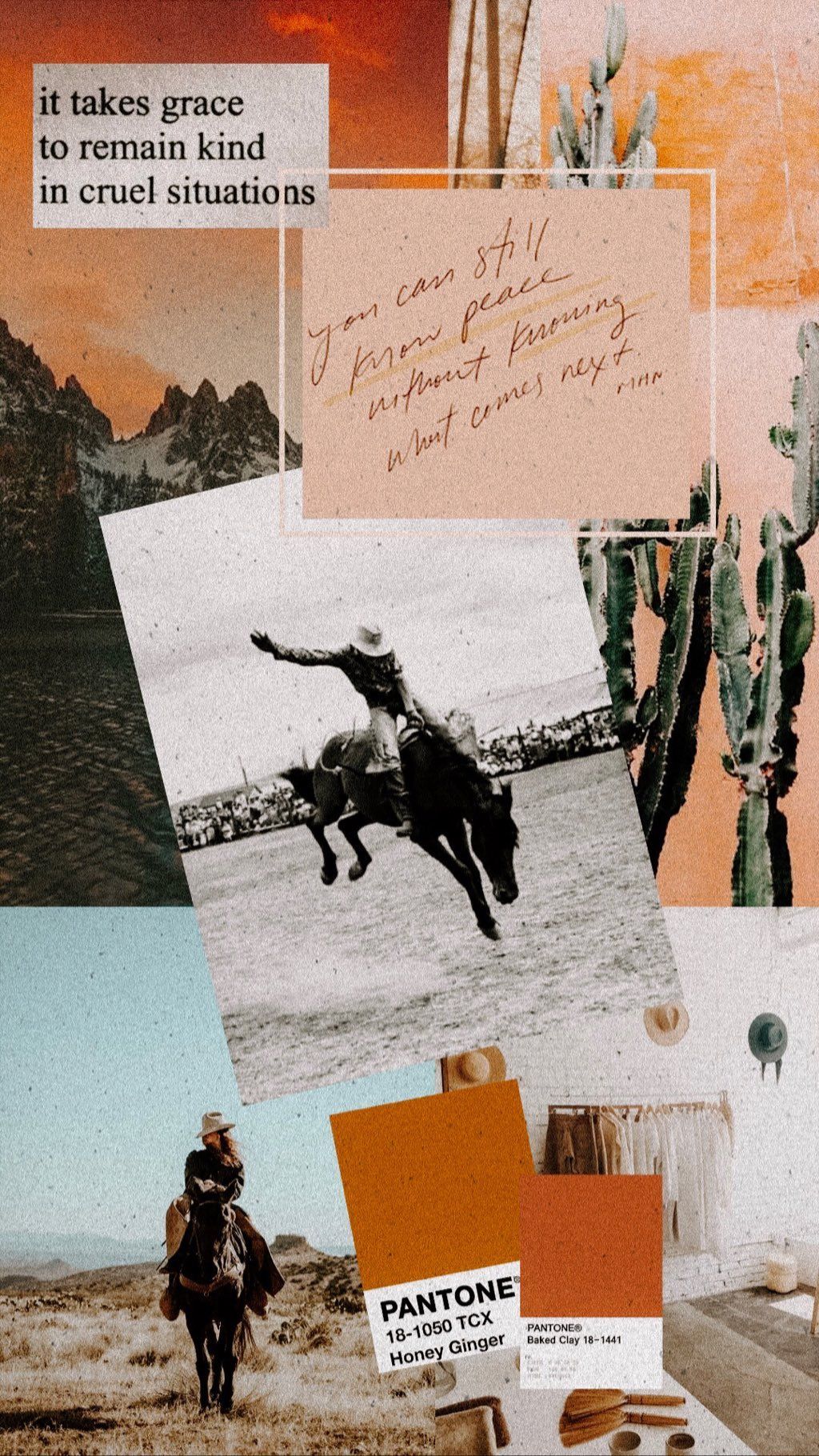 Amazoncom KOSKIMER Western Wall Collage Kit Aesthetic Pictures Western  Room Decor for Bedroom Country Room Decor for Teen Girls Vintage Cowgirl  Wall Decor Cowboy Western Home Decor Western Wall Art Prints 50