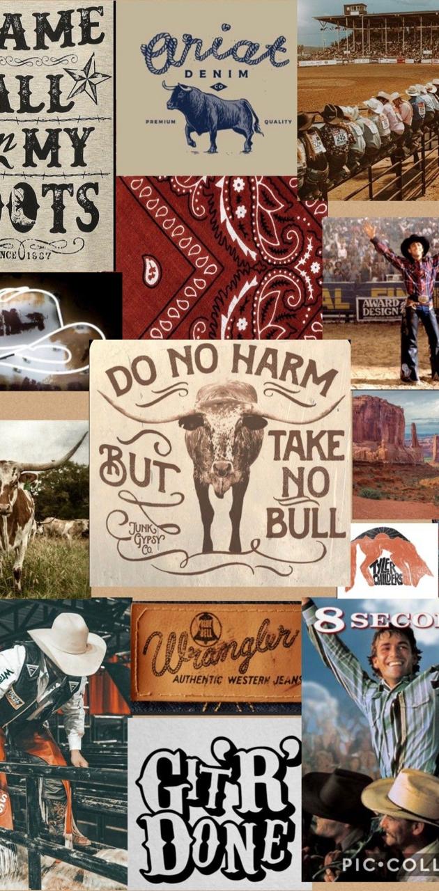 Buy Country Western Aesthetic Ipad Wallpaper Bundle Cowgirl Ipad Online in  India  Etsy