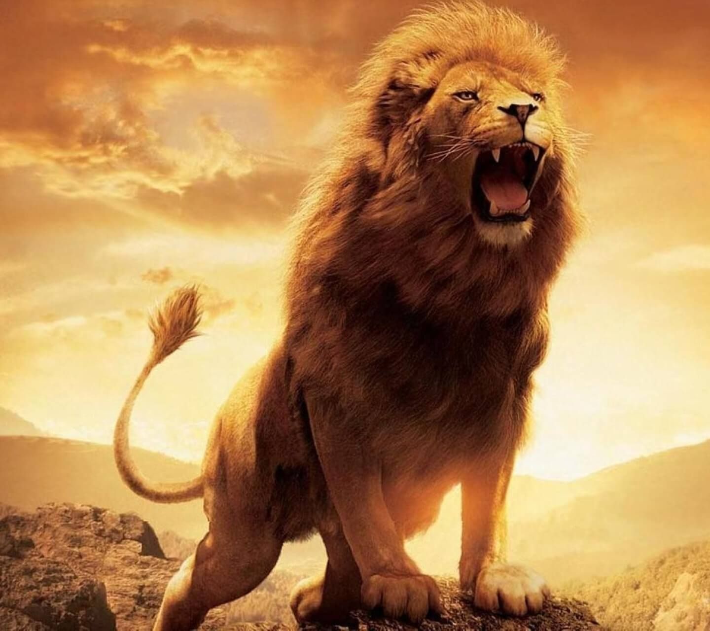 Aslan Wallpapers - Top Free Aslan Backgrounds - WallpaperAccess