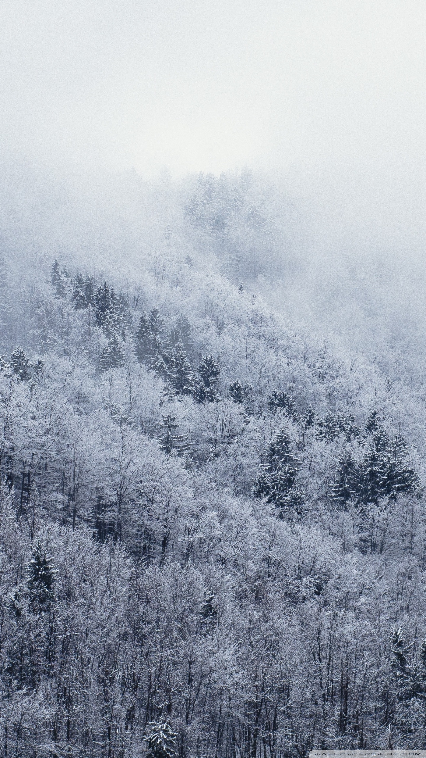 Cold 4K wallpapers for your desktop or mobile screen free and easy to  download