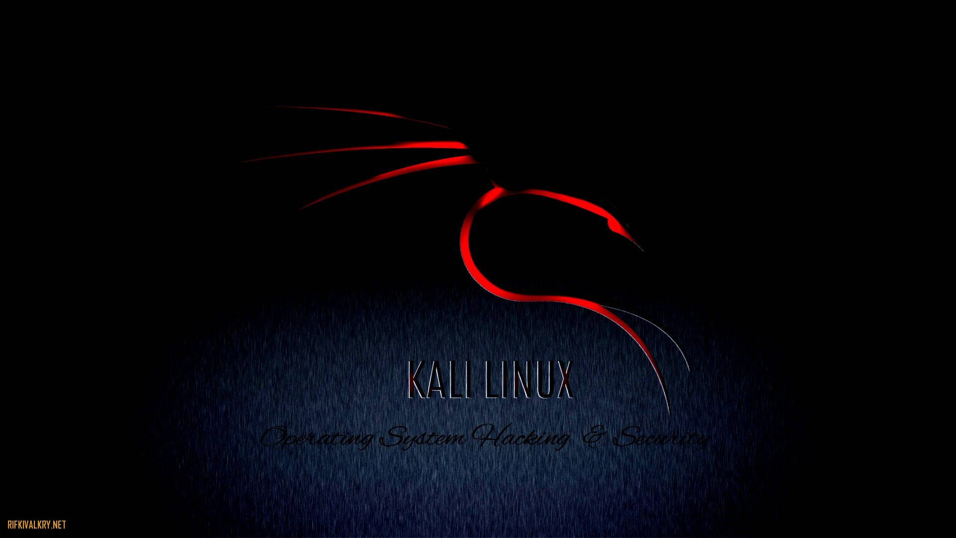 Kali 2019.4 new themes, kali linux android HD wallpaper | Pxfuel