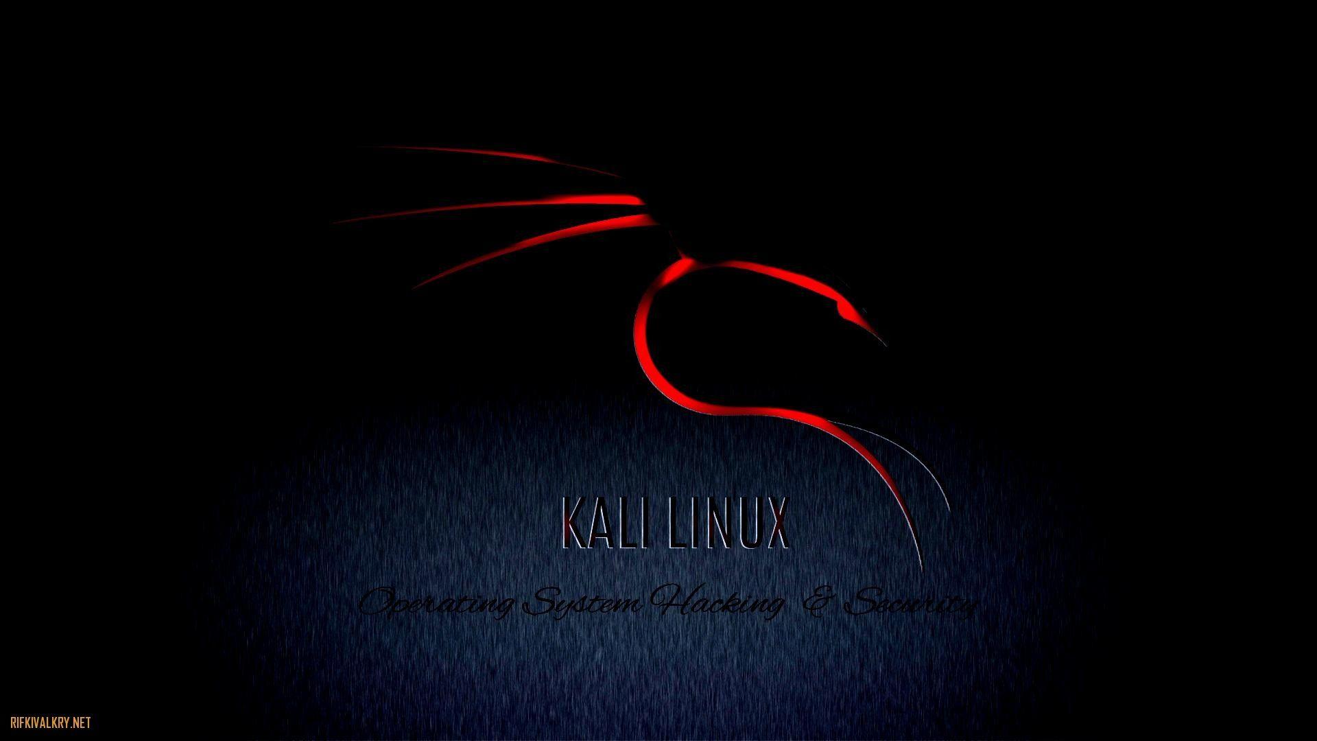WallpaperDog đem đến cho bạn bộ sưu tập hình nền Kali Linux đa dạng và phong phú. Từ hình nền đơn giản tới nhiều biểu tượng đặc trưng của Kali Linux, bạn sẽ có nhiều sự lựa chọn để thể hiện sở thích công nghệ của mình.