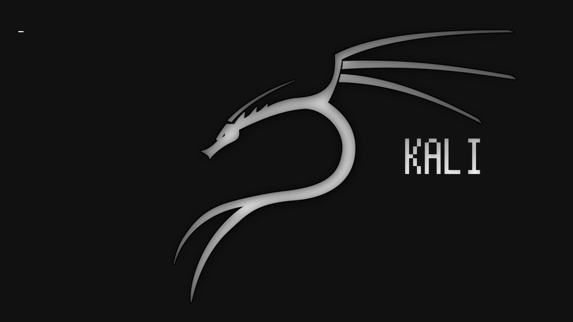 Black Dragon Kali Linux Desktop wallpapers 640x480