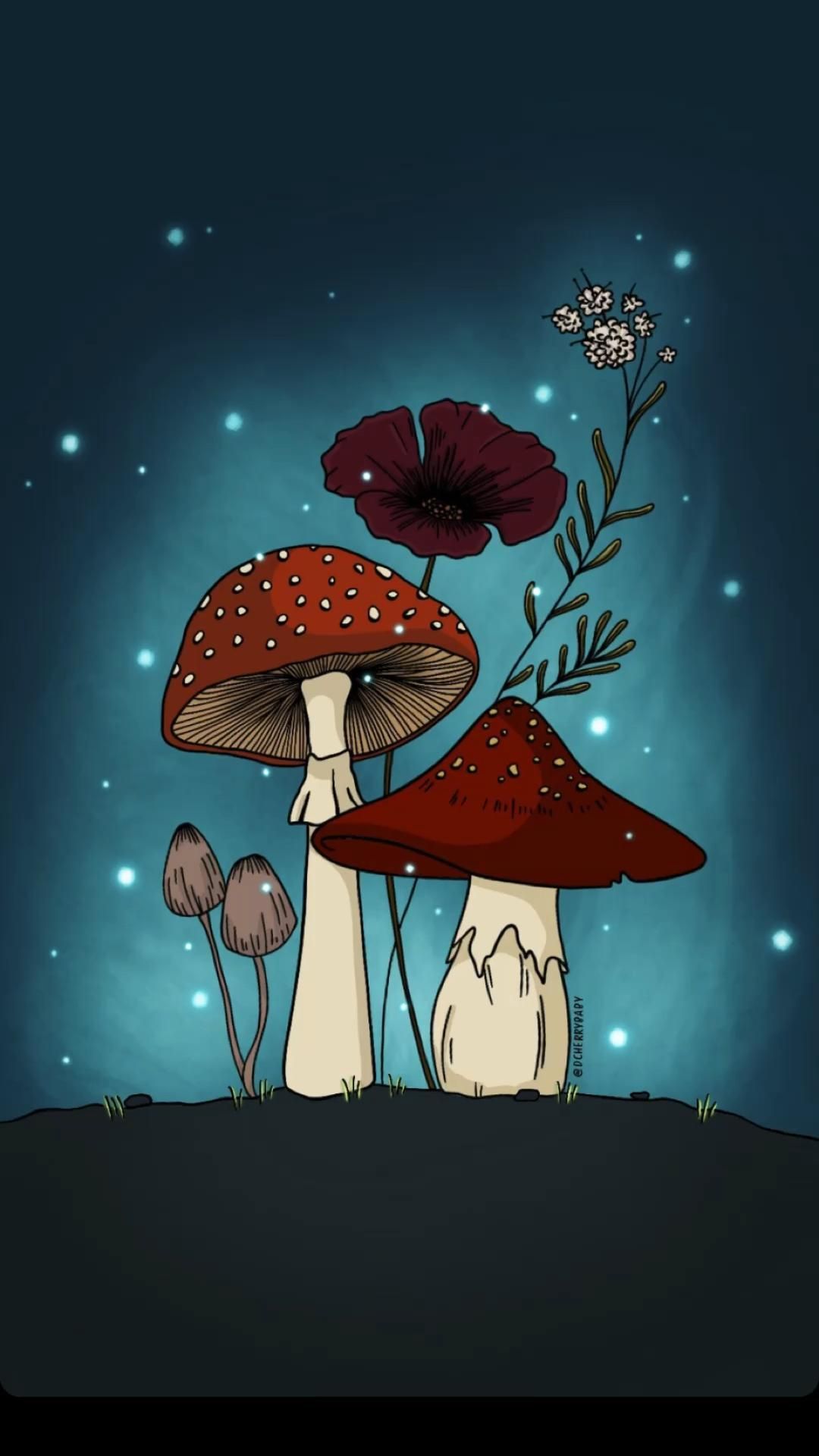 32 Mushrooms Wallpapers  WallpaperSafari