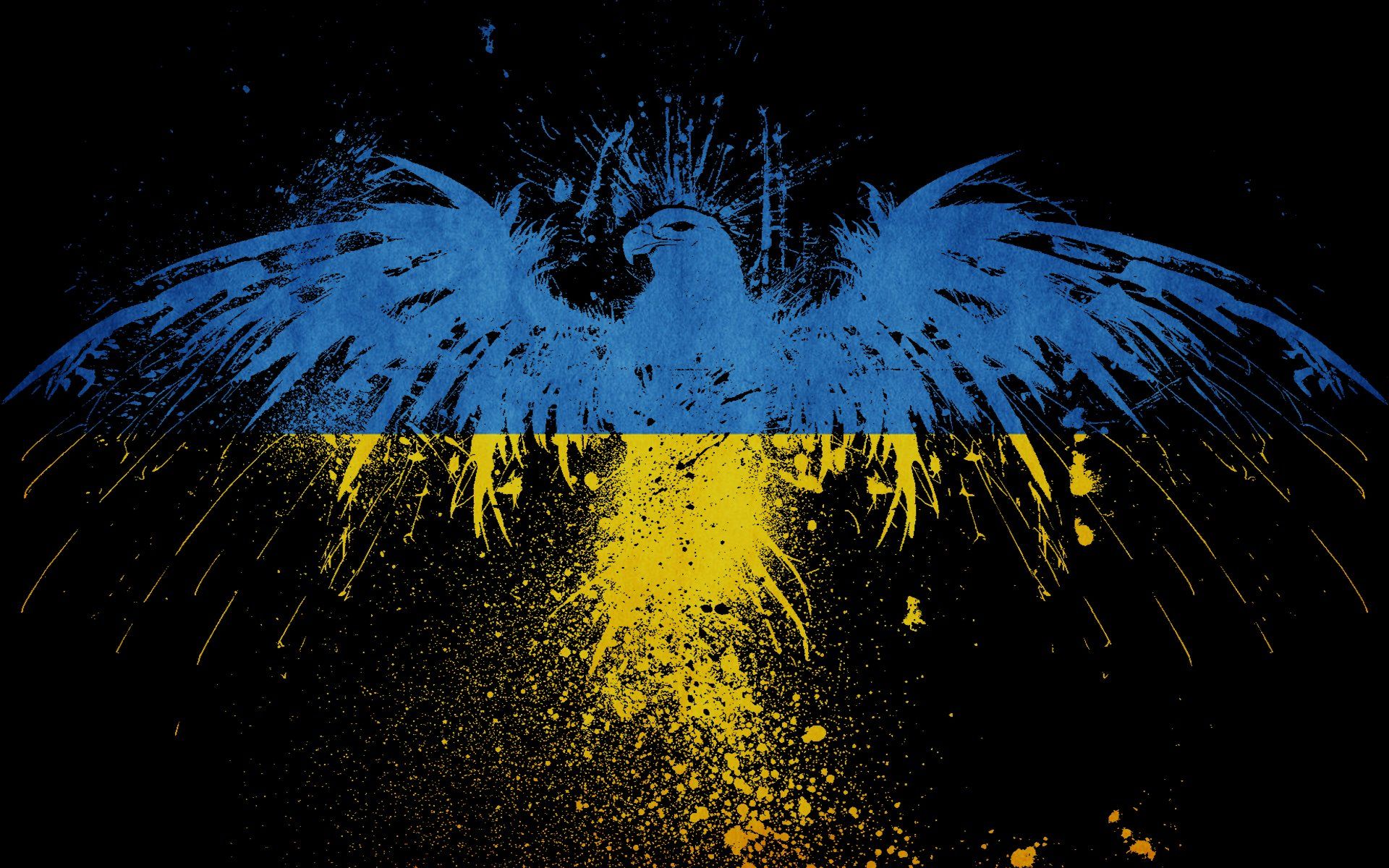 300 Free Ukraine Flag  Ukraine Images  Pixabay