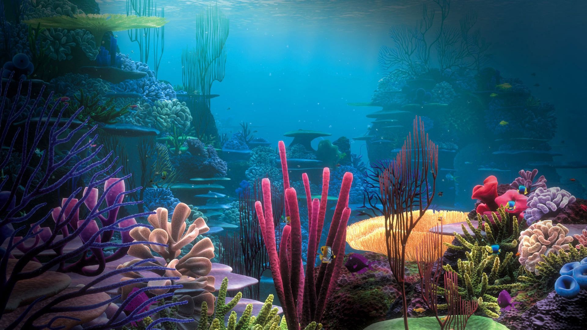 Aquarium Wallpapers on WallpaperDog