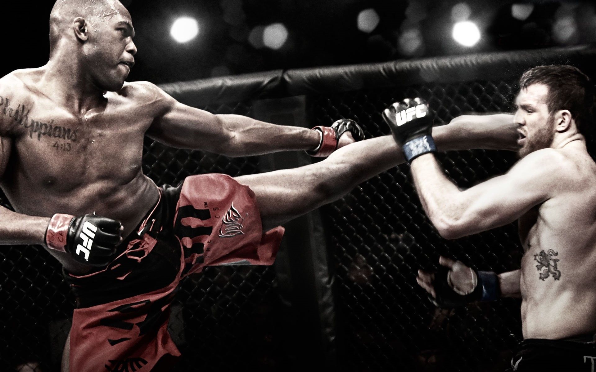 FIGHT.TV | Live Streaming MMA