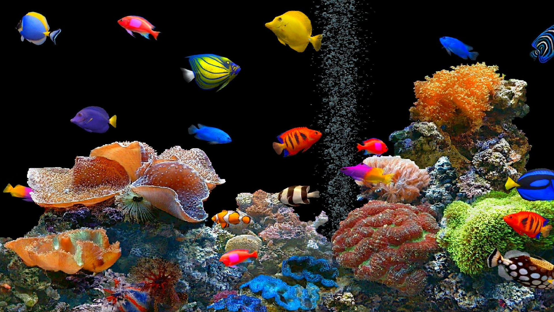 Aquarium Wallpapers Group 65