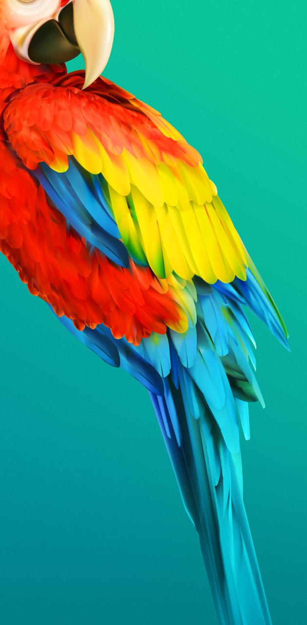 Ultra Parrot HD wallpaper | Pxfuel