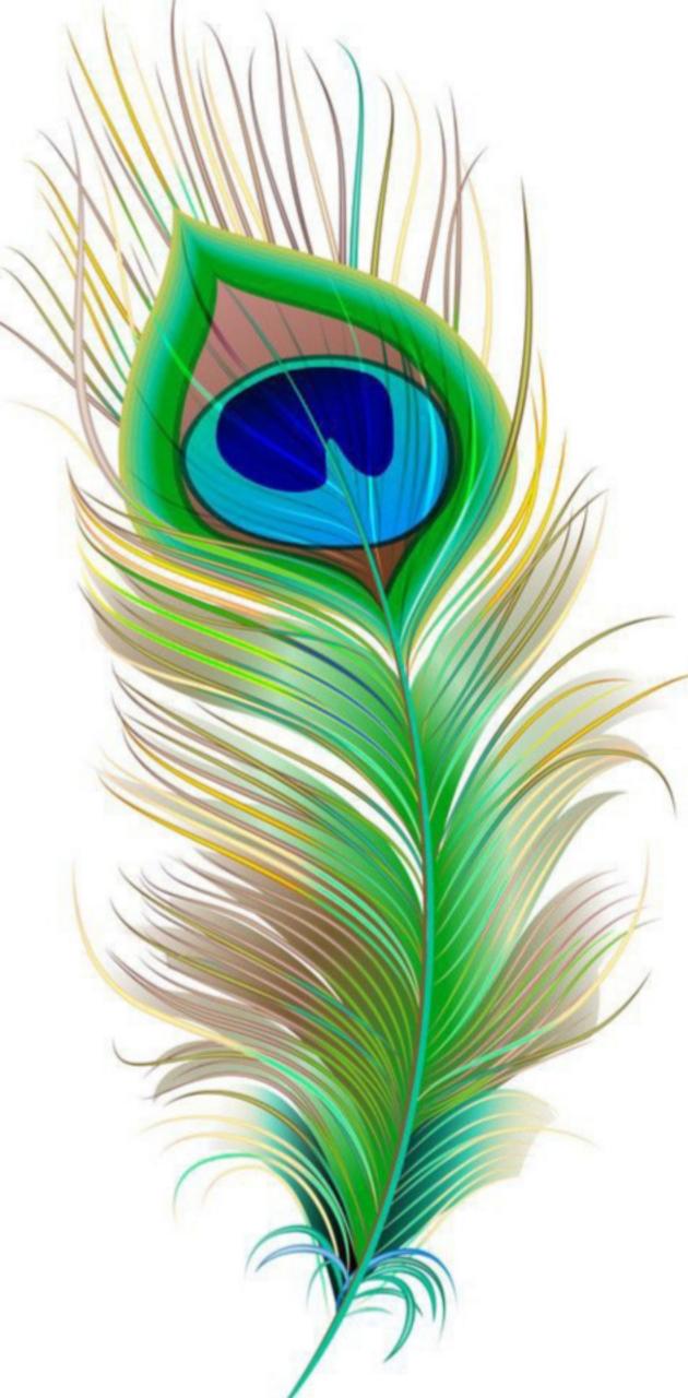 Peacock Feather wallpaper by Chirag1712  Download on ZEDGE  3d90