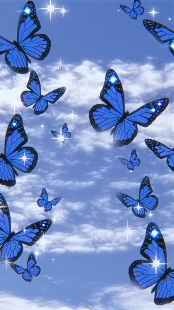HD wallpaper Blue Butterfly butterlfly graphic color beautiful  flowers  Wallpaper Flare
