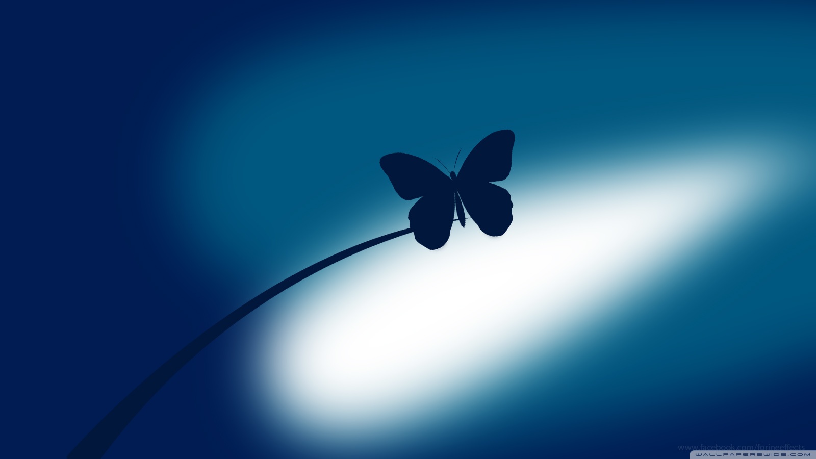Голубые бабочки фон. Обои с бабочками. Обои на рабочий стол бабочки. Синяя бабочка. Бабочки на черном фоне.