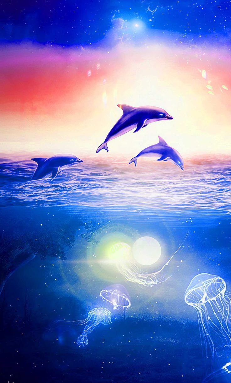 Dolphin Live Wallpaper for Android  Download  Cafe Bazaar