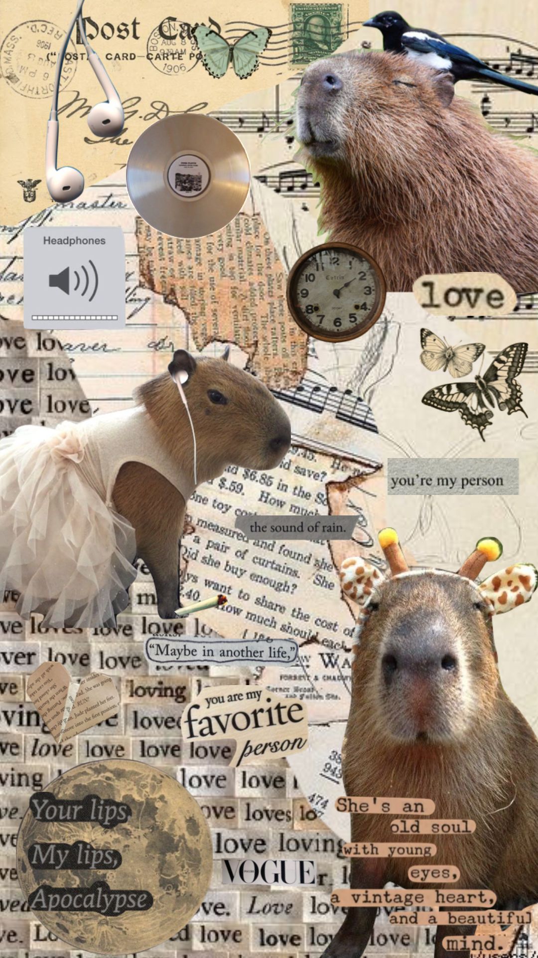 Introduction Sfondi Aesthetic Capybara