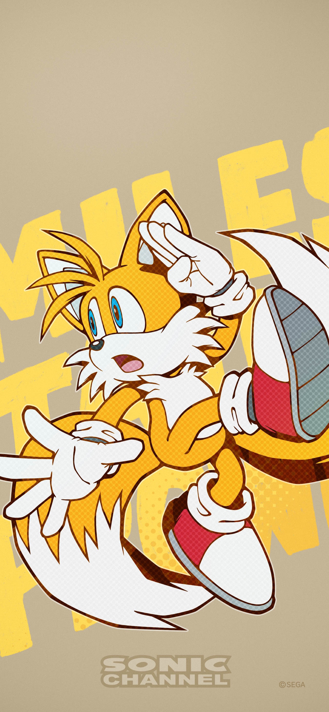 Tails Sonic the Hedgehog 2 4K Wallpaper iPhone HD Phone 3431g