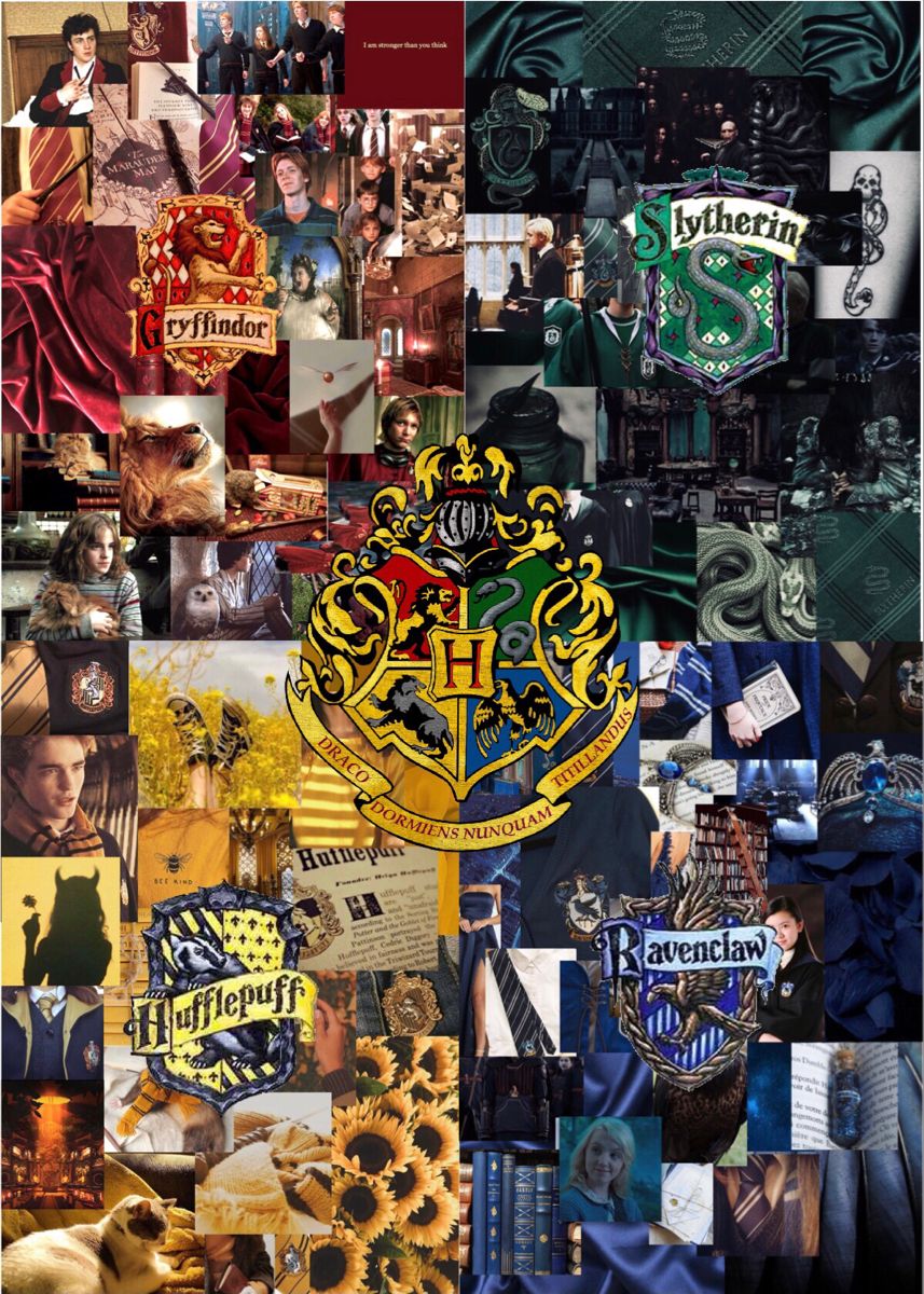 Harry Potter Houses Wallpapers  Top Free Harry Potter Houses Backgrounds   WallpaperAccess