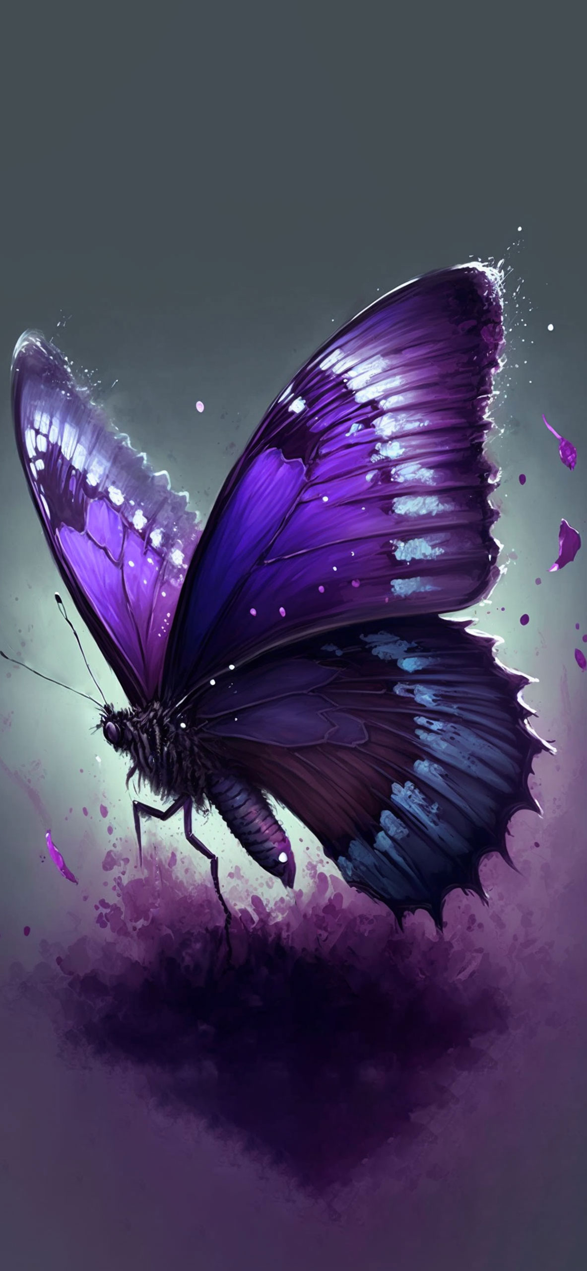 Purple Butterfly Images  Free Photos, PNG Stickers, Wallpapers