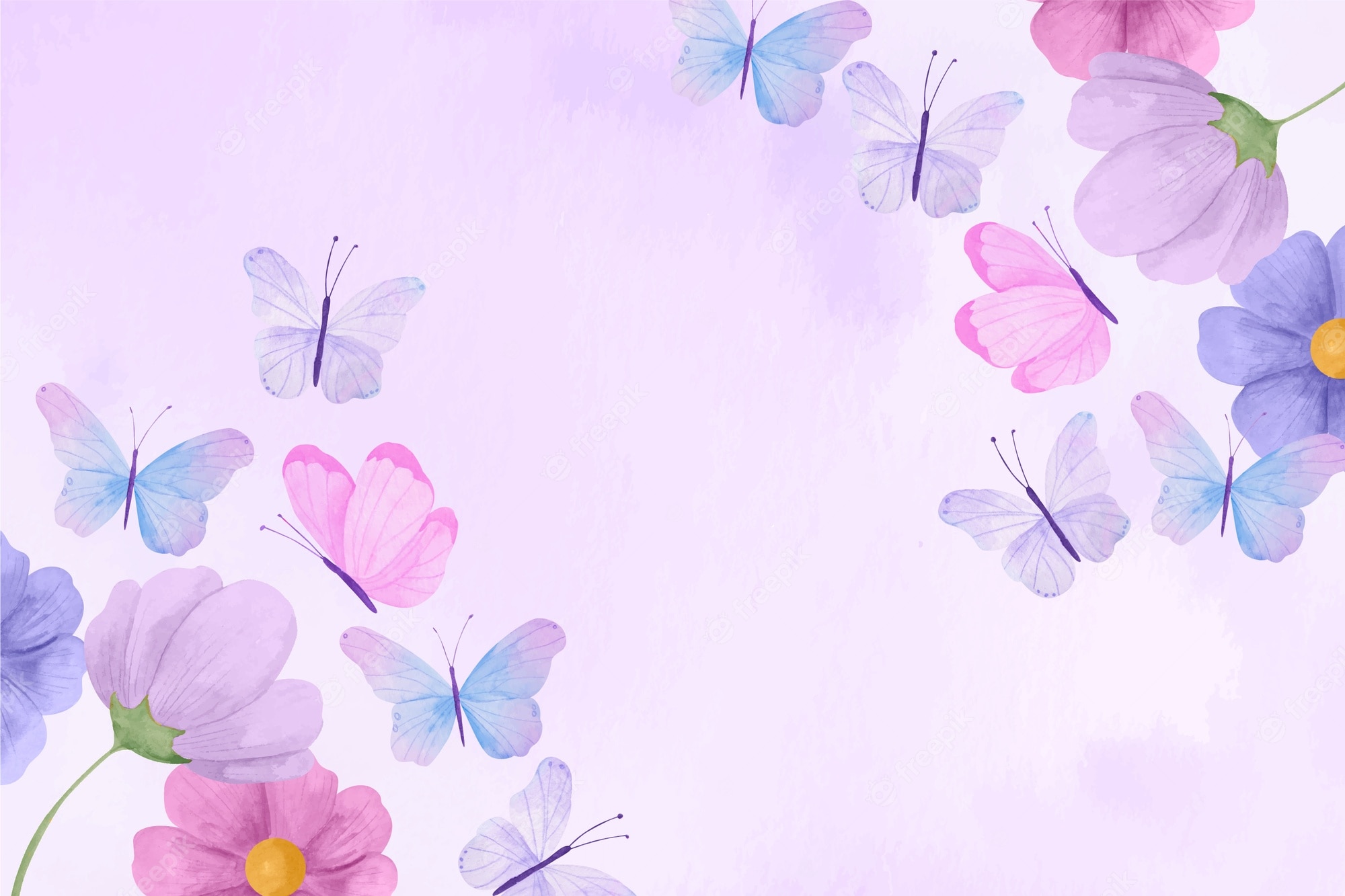 purple butterfly Wallpapers on WallpaperDog