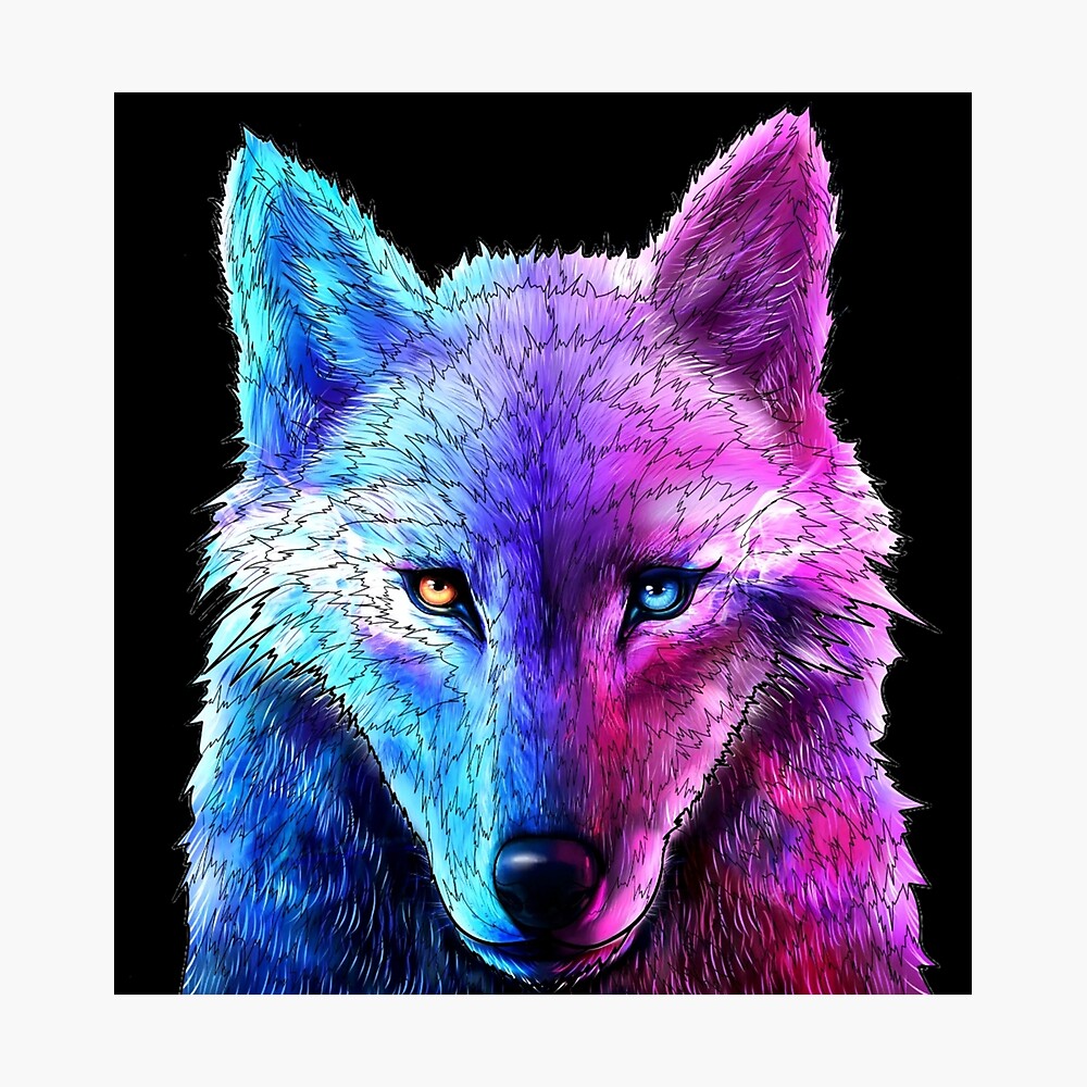 neon wolf Wallpapers on WallpaperDog