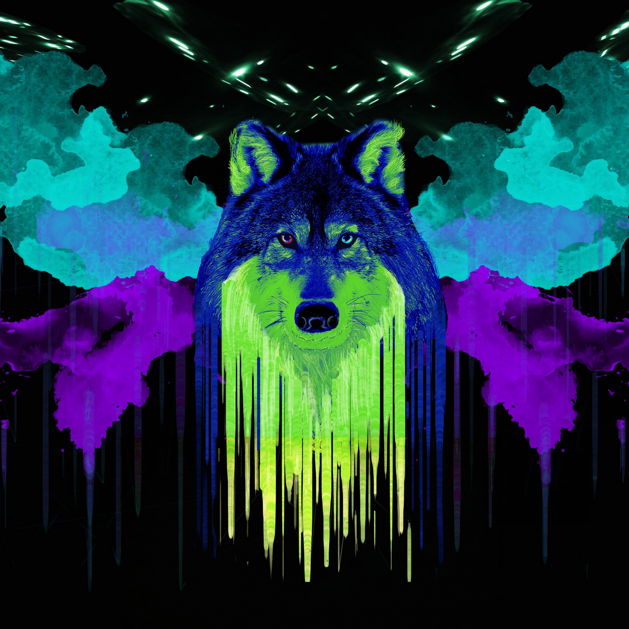 neon wolf Wallpapers on WallpaperDog