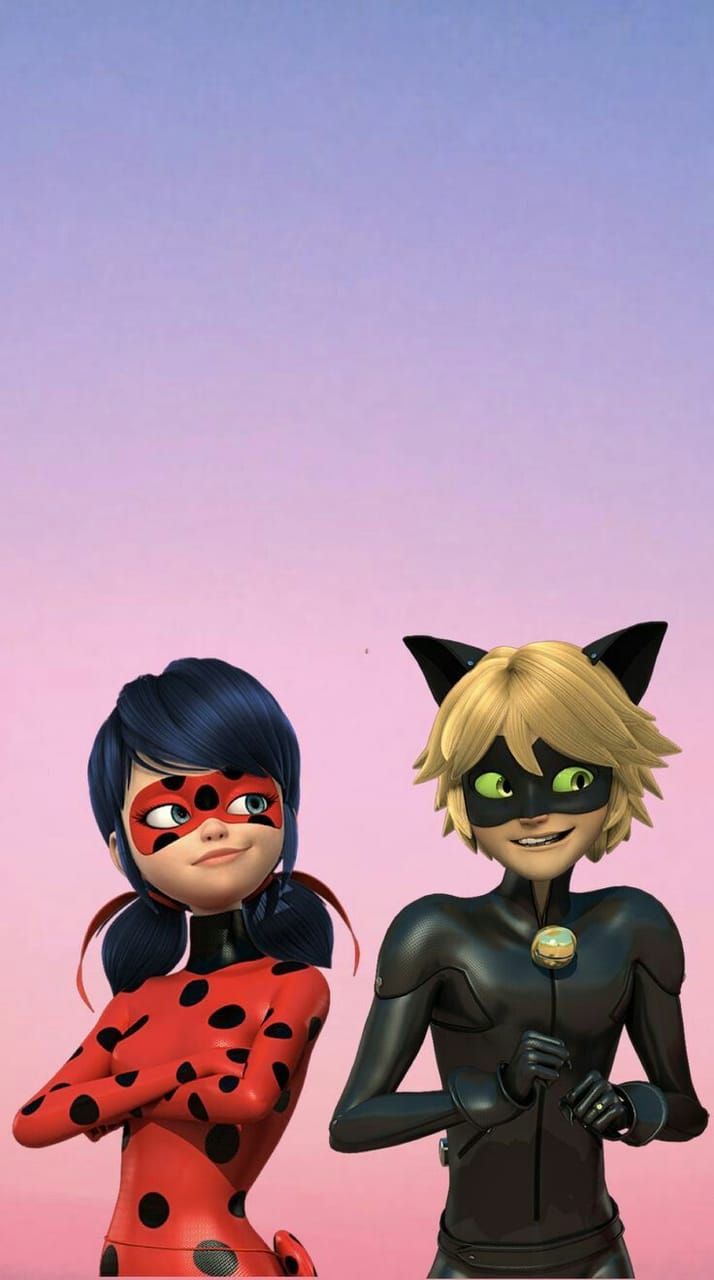 Ladybug and Cat Noir Wallpapers on WallpaperDog