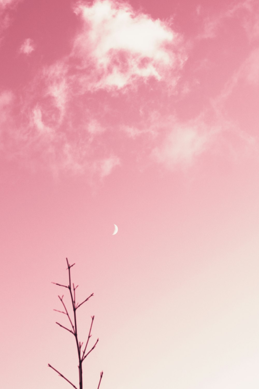 Download Soft Pink Clouds Wallpaper