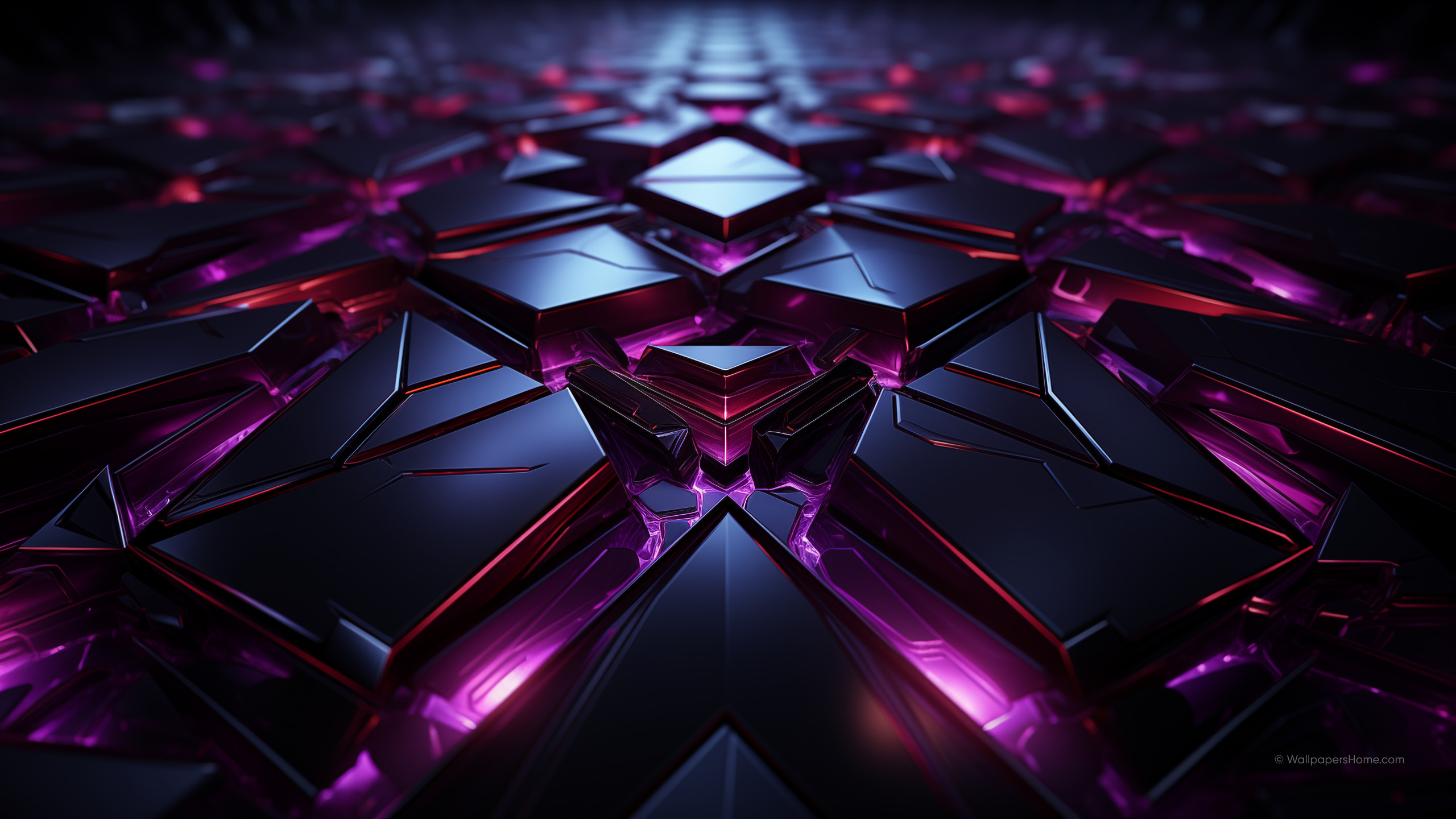 Black Purple Wallpapers On WallpaperDog