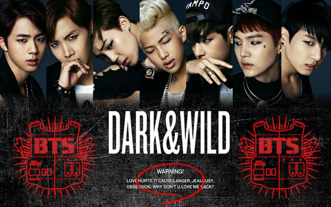 bts dark and wild review