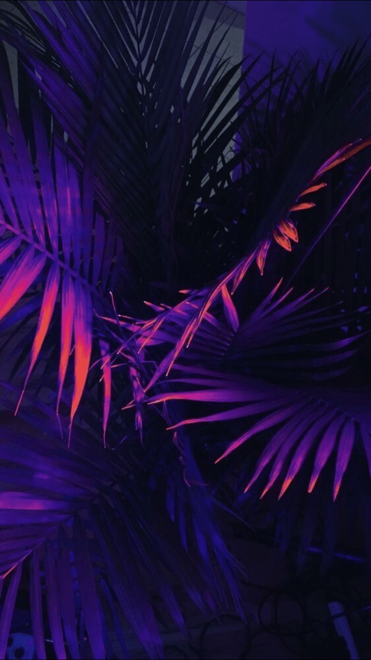 Dark Purple Aesthetic Wallpaper - NawPic